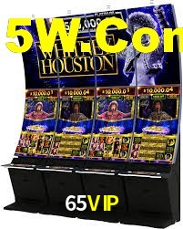Programa VIP 65VIP
